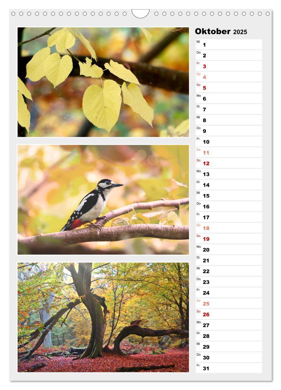 Bild: 9783435889280 | Zauberhafte Farben der Natur (Wandkalender 2025 DIN A3 hoch),...