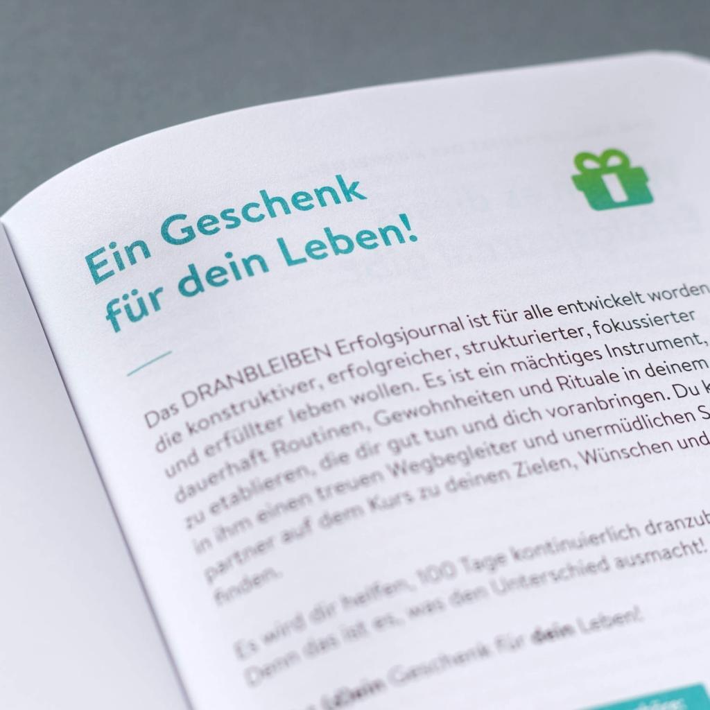 Bild: 9783000593284 | DRANBLEIBEN Erfolgsjournal, Fresh Green | Matthias Hechler | Buch