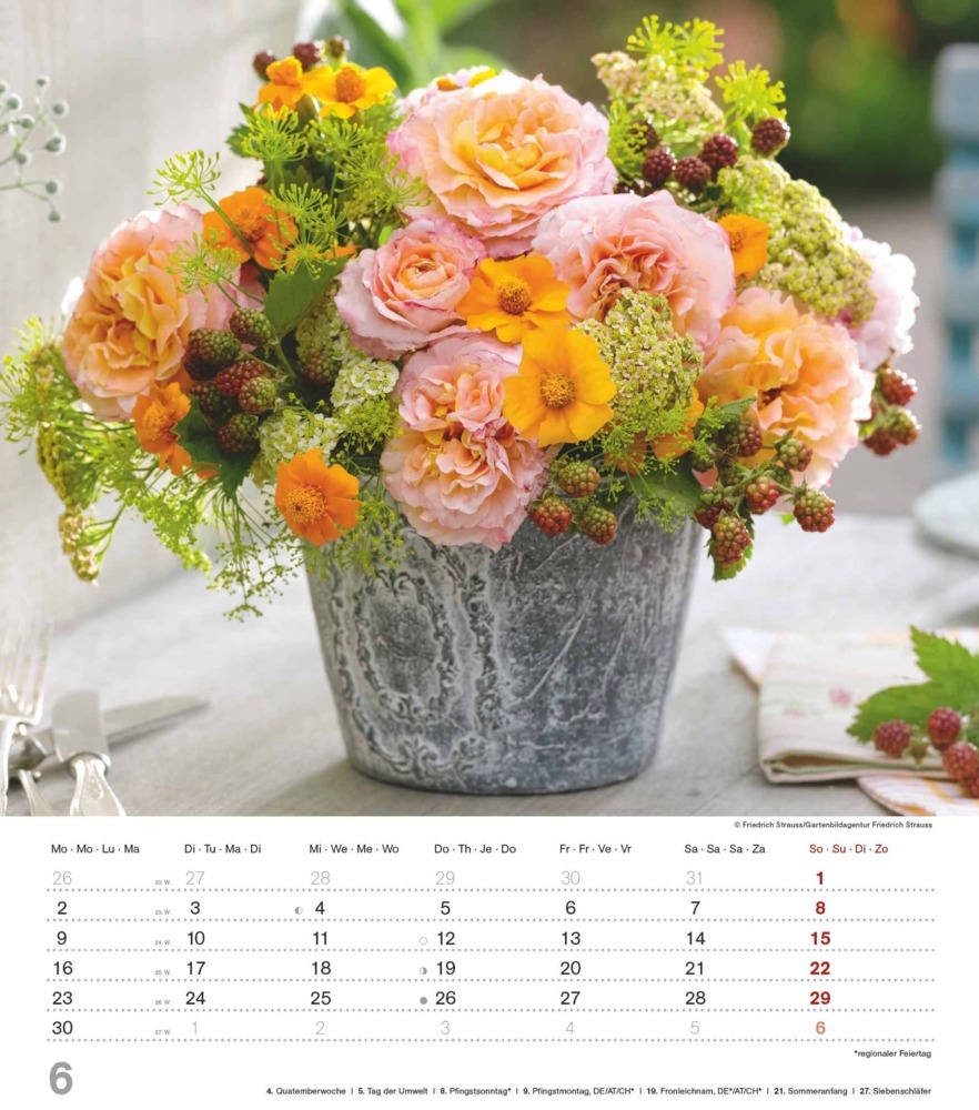 Bild: 4251732342135 | Alpha Edition - Der Duft der Rosen 2025 Bildkalender, 30,x34cm,...