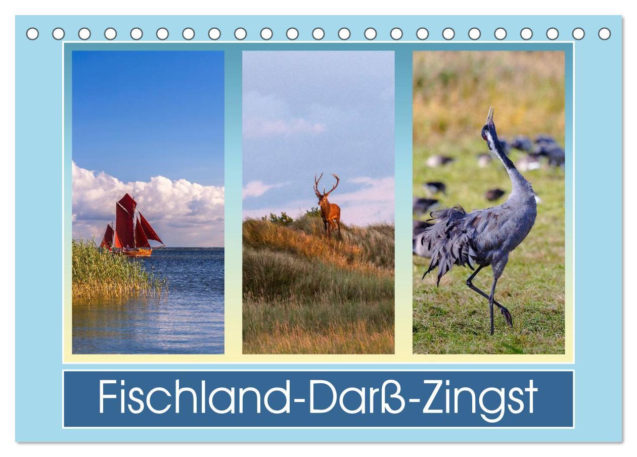 Cover: 9783435616138 | Fischland-Darß-Zingst (Tischkalender 2025 DIN A5 quer), CALVENDO...