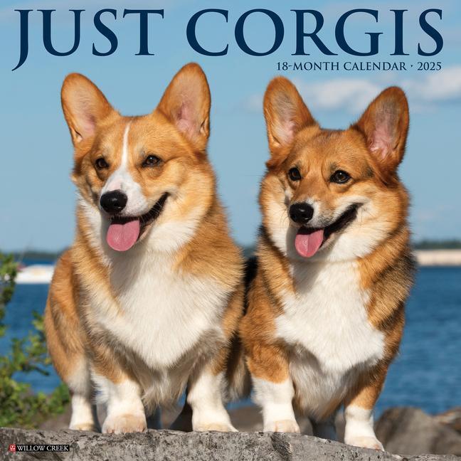 Cover: 9781549242564 | Just Corgis 2025 12 X 12 Wall Calendar | Willow Creek Press | Kalender