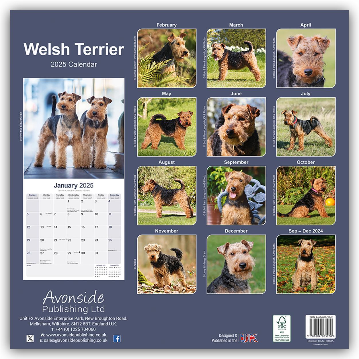 Rückseite: 9781804603970 | Welsh Terrier 2025 - 16-Monatskalender | Avonside Publishing Ltd