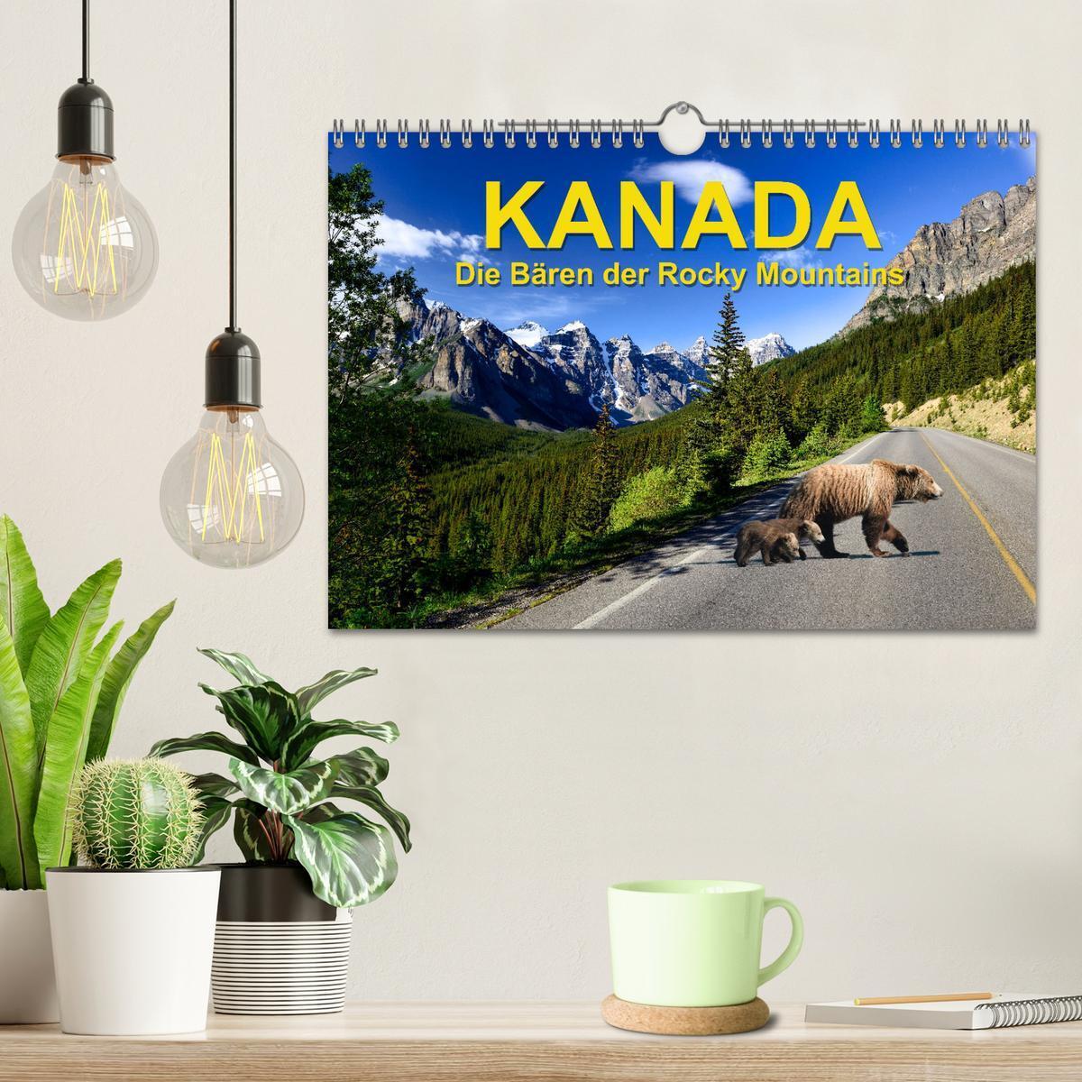 Bild: 9783383855955 | KANADA - Die Bären der Rocky Mountains (Wandkalender 2025 DIN A4...