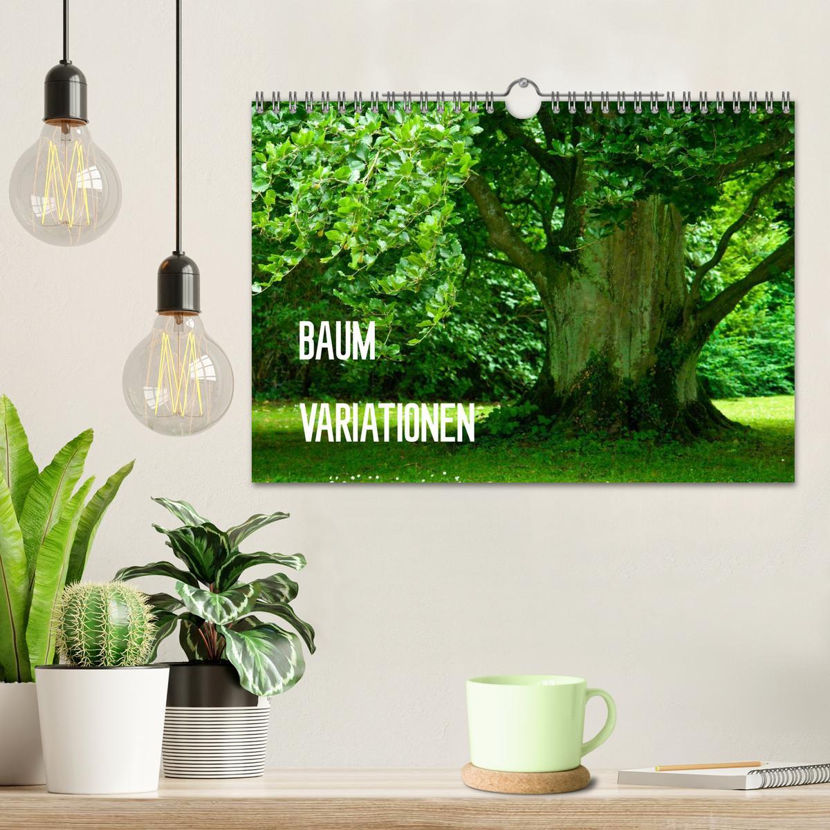 Bild: 9783435812363 | Baum-Variationen (Wandkalender 2025 DIN A4 quer), CALVENDO...