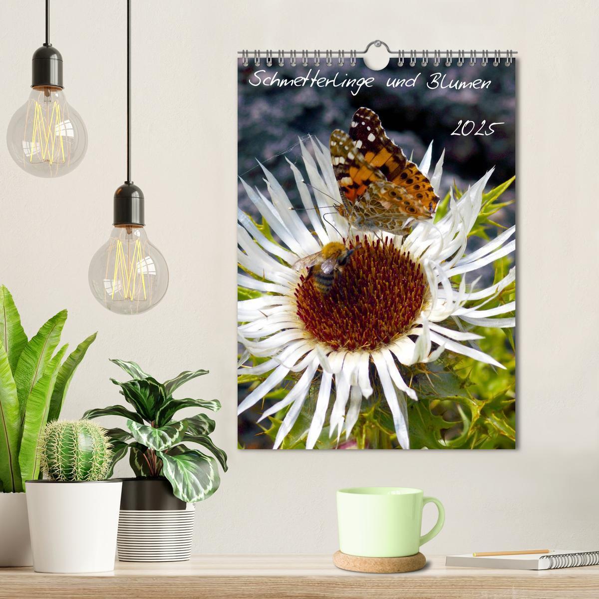 Bild: 9783457082447 | Schmetterlilnge und Blumen (Wandkalender 2025 DIN A4 hoch),...