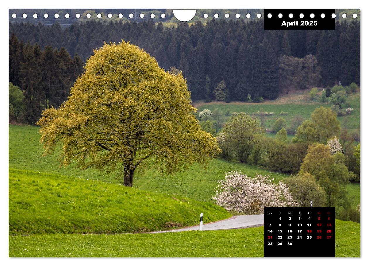 Bild: 9783435287499 | Malerisches Sauerland (Wandkalender 2025 DIN A4 quer), CALVENDO...