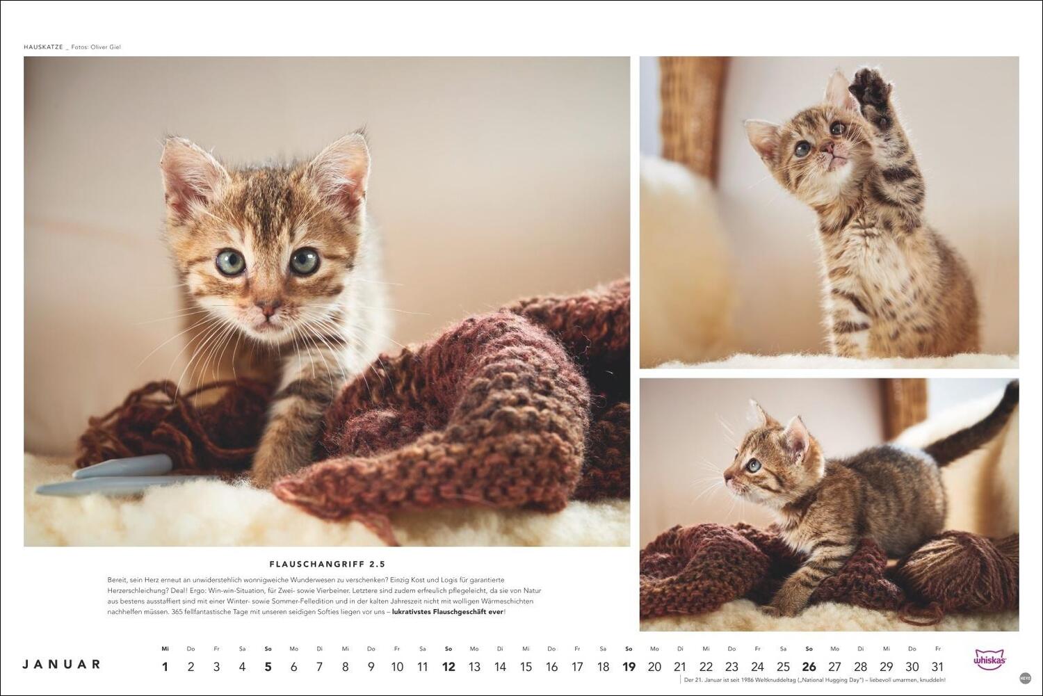 Bild: 9783756404971 | Whiskas Katzenkalender 2025 | Heye | Kalender | Spiralbindung | 14 S.