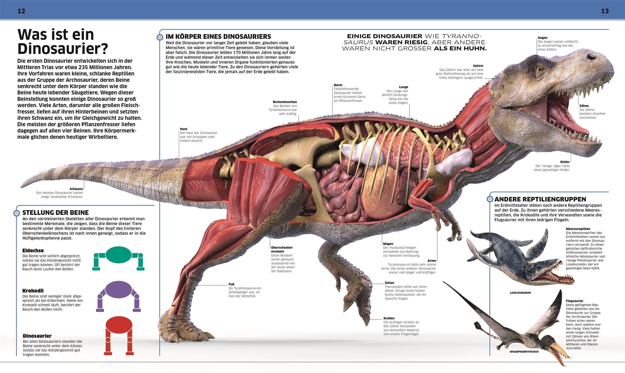 Bild: 9783831040063 | DK Wissen. Dinosaurier | Die Urzeitriesen in spektakulären Bildern