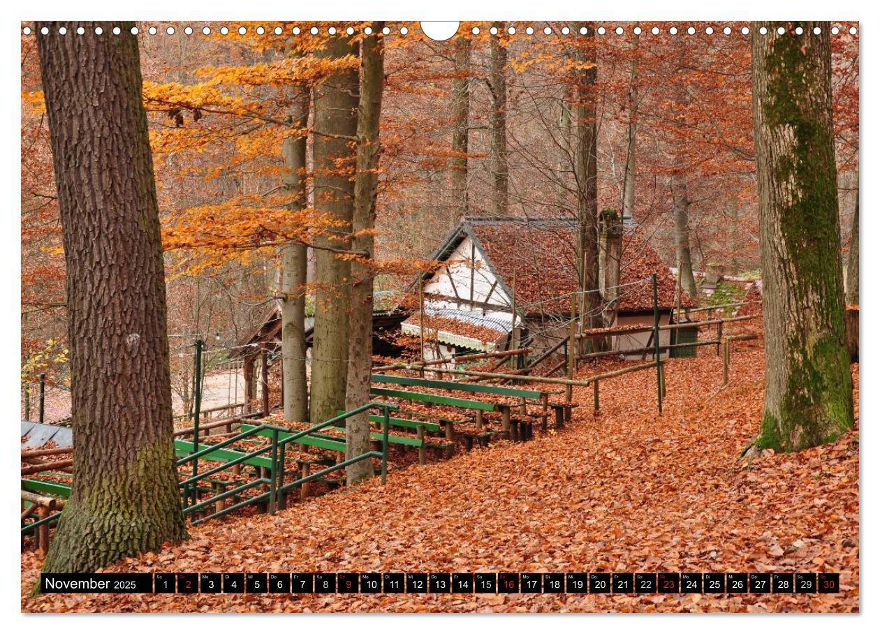 Bild: 9783435674091 | Forchheim (Wandkalender 2025 DIN A3 quer), CALVENDO Monatskalender