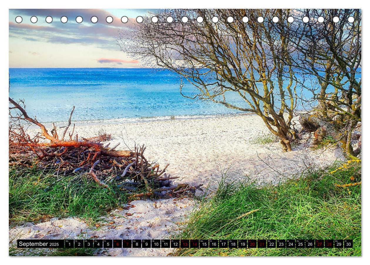 Bild: 9783435023288 | Fischland - Darß- Zingst (Tischkalender 2025 DIN A5 quer), CALVENDO...