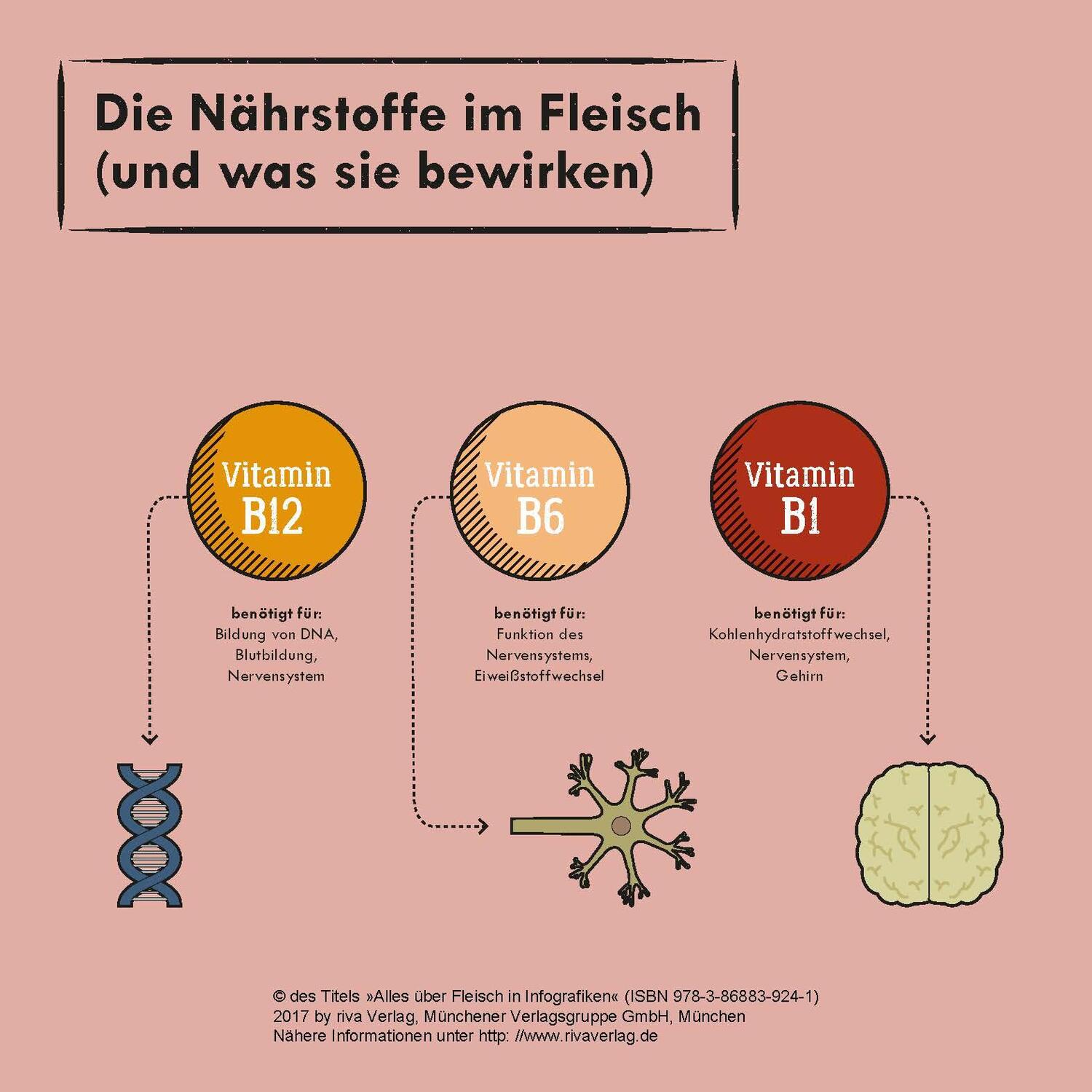 Bild: 9783868839241 | Alles über Fleisch in Infografiken | Daniel Wiechmann | Buch | 96 S.