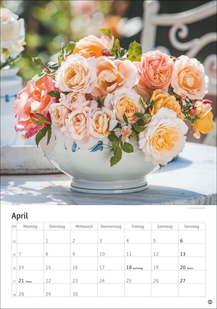 Bild: 9783756405596 | Rosenpracht Kalender 2025 | Kalender | Spiralbindung | 13 S. | Deutsch