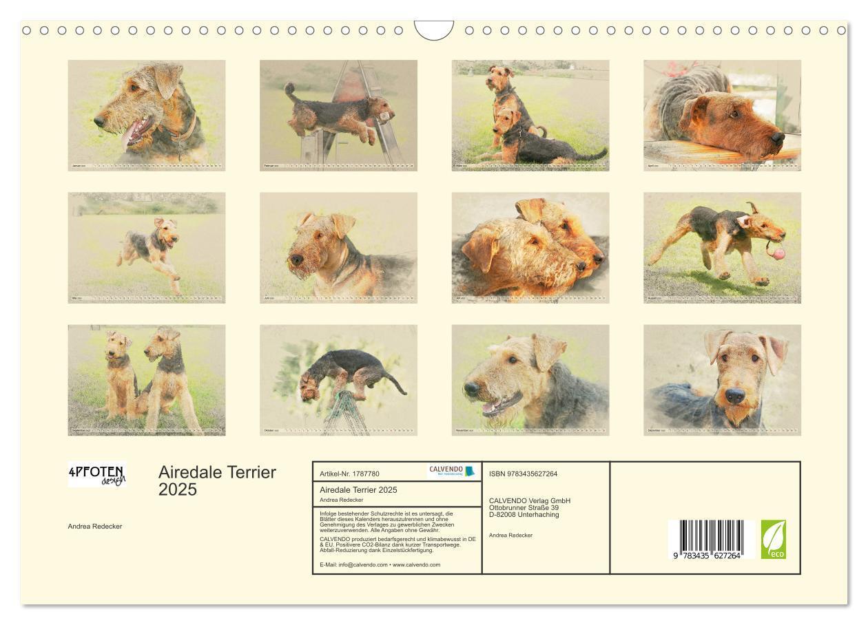 Bild: 9783435627264 | Airedale Terrier 2025 (Wandkalender 2025 DIN A3 quer), CALVENDO...