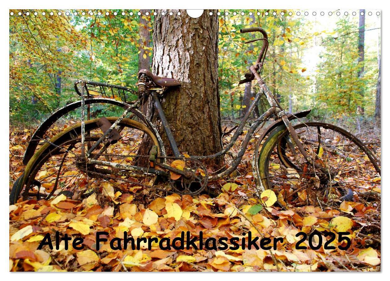 Cover: 9783435810291 | Alte Fahrradklassiker 2025 (Wandkalender 2025 DIN A3 quer),...