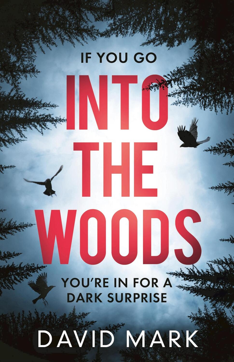 Cover: 9781800246362 | Into the Woods | D. L. Mark | Taschenbuch | Kartoniert / Broschiert