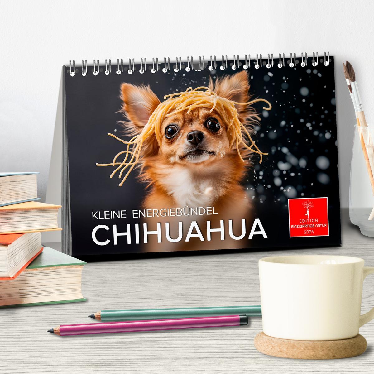 Bild: 9783457237106 | Chihuahua - kleine Energiebündel (Tischkalender 2025 DIN A5 quer),...