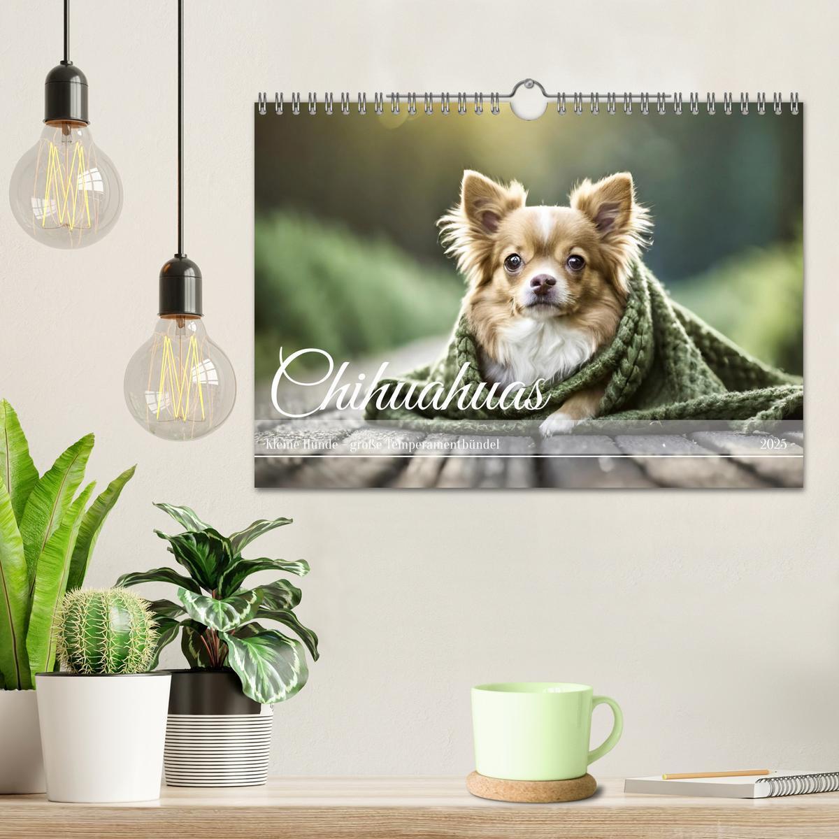 Bild: 9783383811456 | Chihuahuas - Kleine Hunde - große Temperamentbündel (Wandkalender...