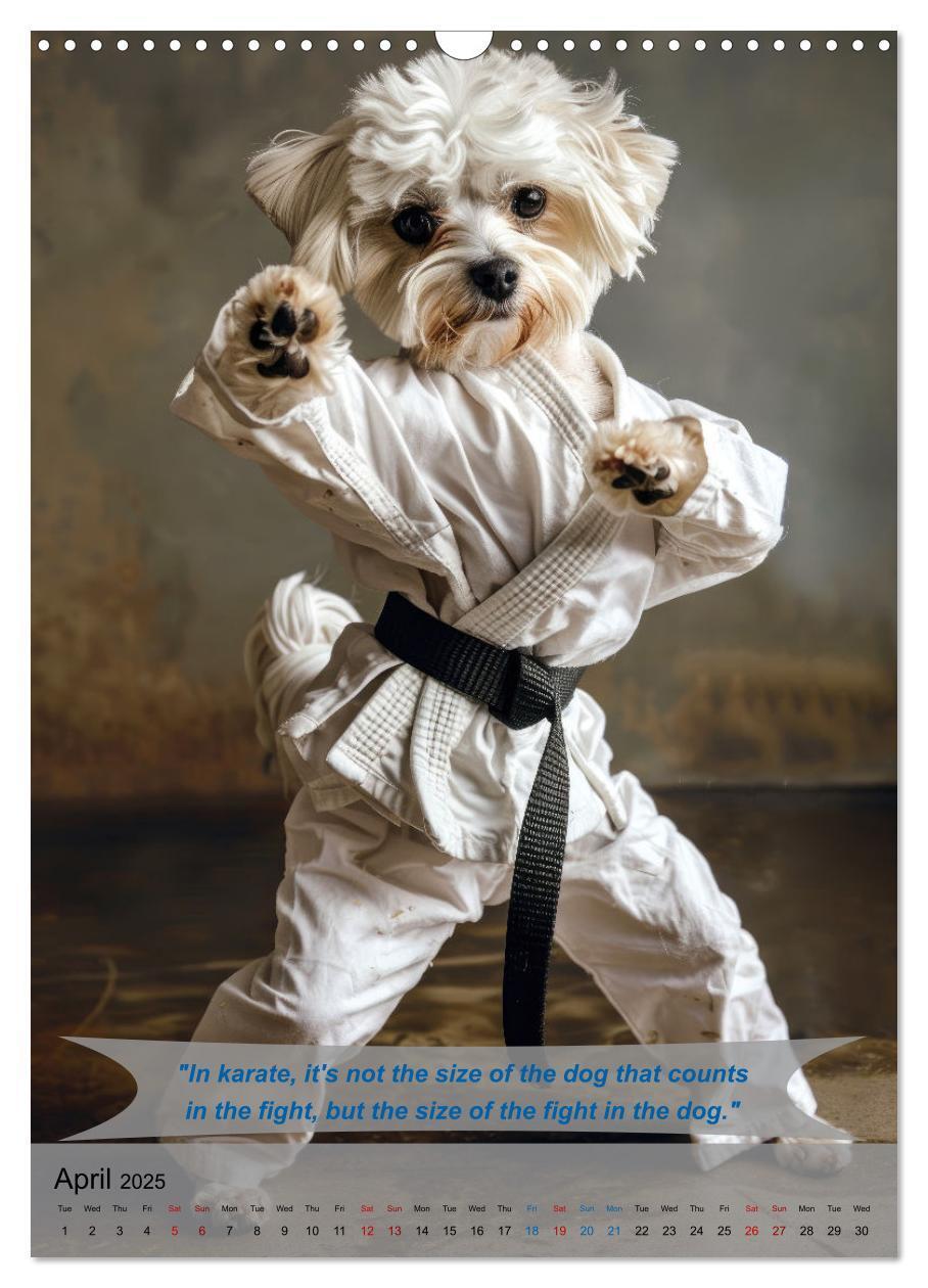 Bild: 9781325984657 | Great fun with animal karate fighters (Wall Calendar 2025 DIN A3...