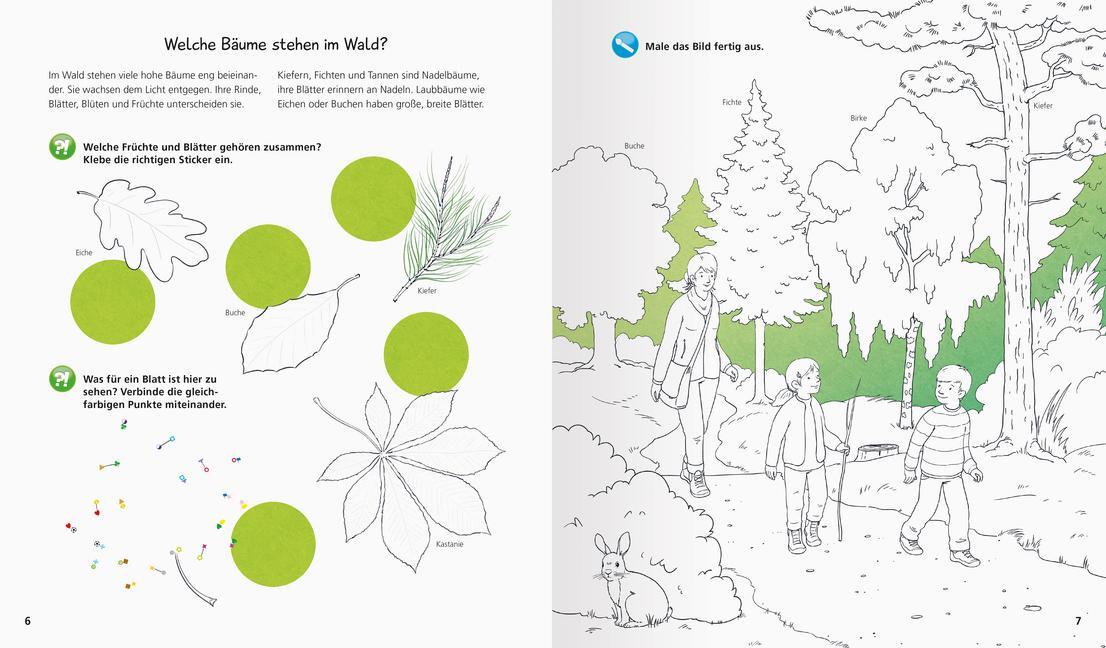 Bild: 9783473329731 | Wieso? Weshalb? Warum? aktiv-Heft: Wald | Stefan Richter | Taschenbuch