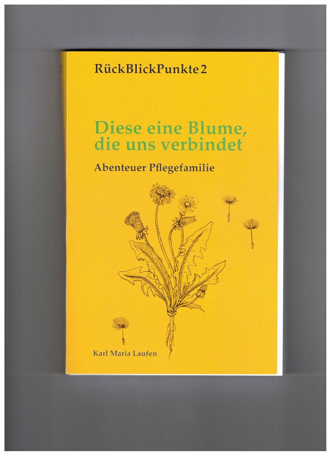 Cover: 9783874684897 | Diese eine Blume, die uns verbindet | Abenteuer Pflegefamilie | V.