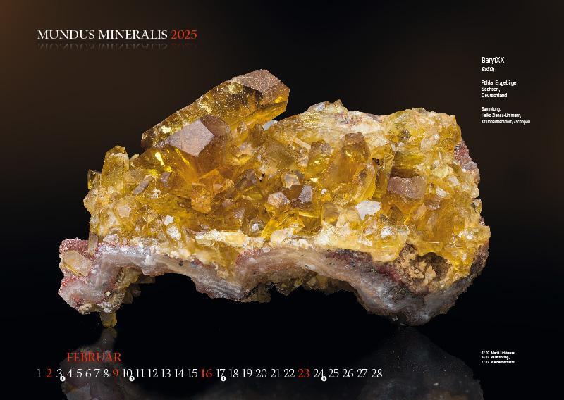 Bild: 9783957561398 | MUNDUS MINERALIS 2025 | Die Welt der Mineralien | Jörg Neubert | 2025