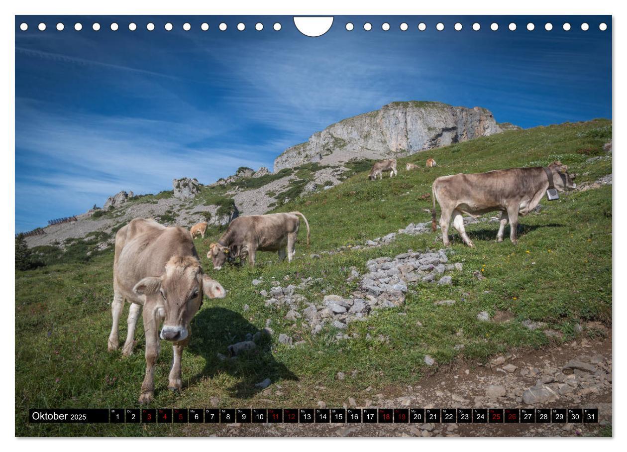 Bild: 9783435438525 | Oberallgäu - Oberstdorf und Umgebung (Wandkalender 2025 DIN A4...