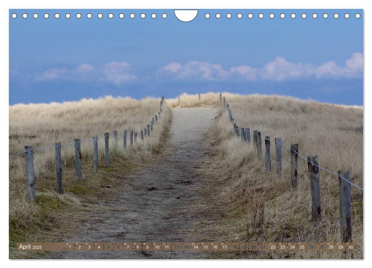 Bild: 9783435763597 | Strandwanderungen auf Texel (Wandkalender 2025 DIN A4 quer),...