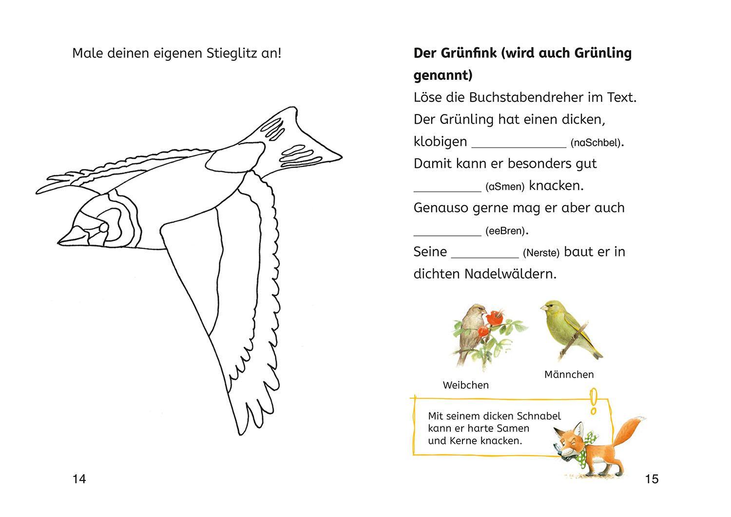 Bild: 9783440178188 | Lesen lernen mit Naturrätseln, Bücherhelden 2. Klasse, heimische Vögel