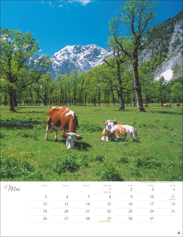 Bild: 9783756405251 | Schönes Alpenland Posterkalender 2025 | Kalender | Spiralbindung