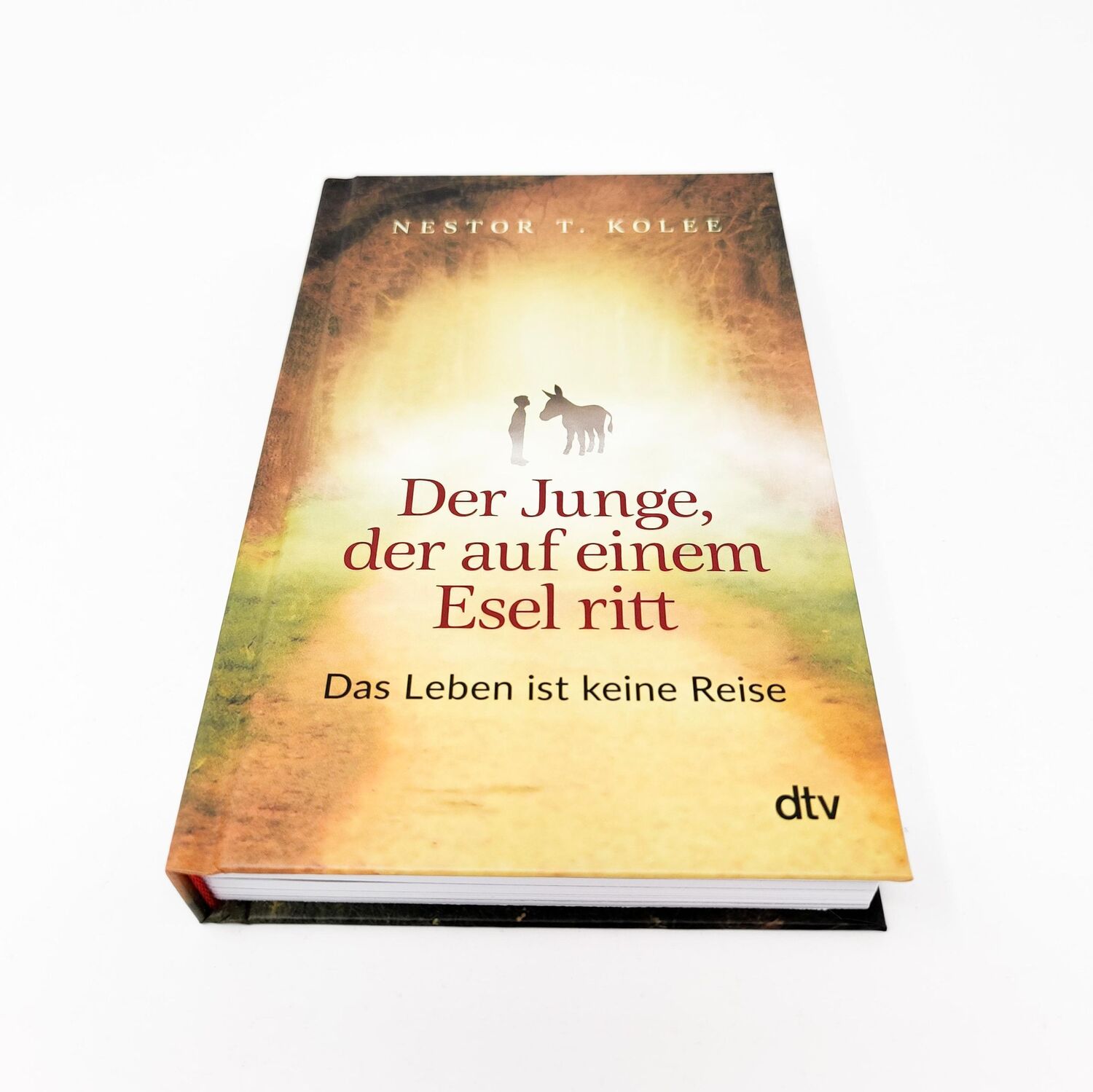 Bild: 9783423283021 | Der Junge, der auf einem Esel ritt | Nestor T. Kolee | Taschenbuch