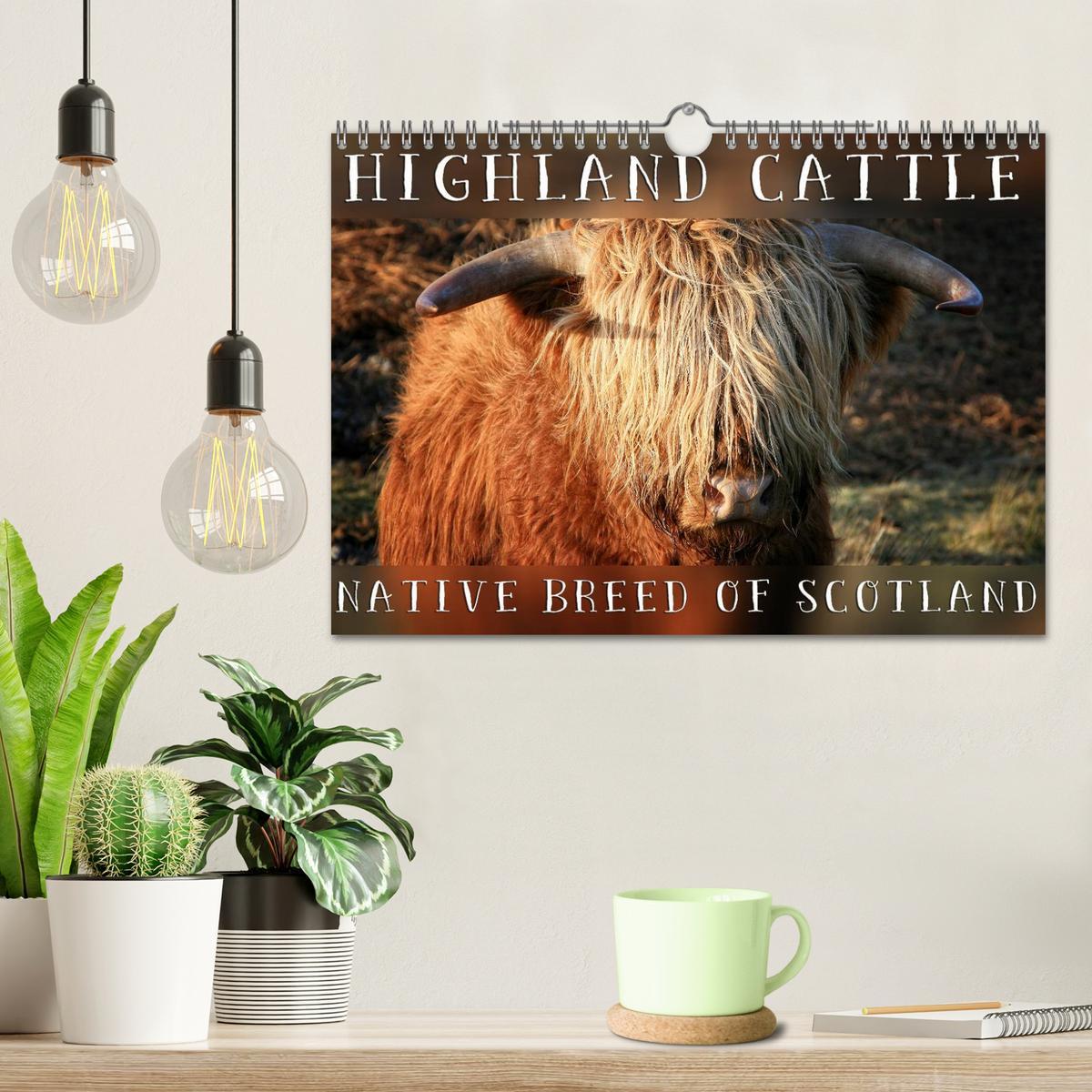 Bild: 9781325994274 | Highland Cattle - Native Breed of Scotland (Wall Calendar 2025 DIN...