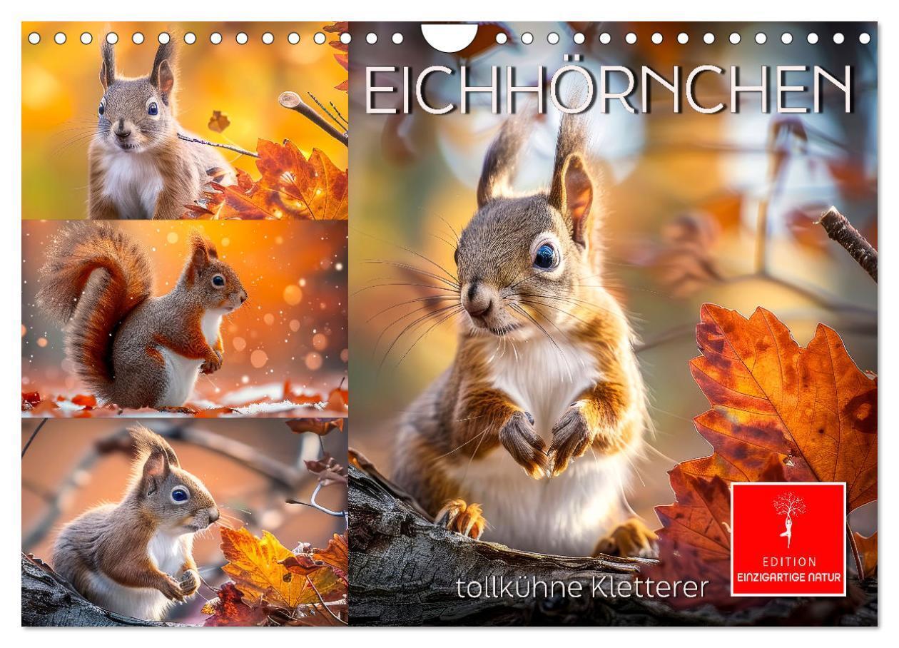 Cover: 9783383801822 | Eichhörnchen - tollkühne Kletterer (Wandkalender 2025 DIN A4 quer),...