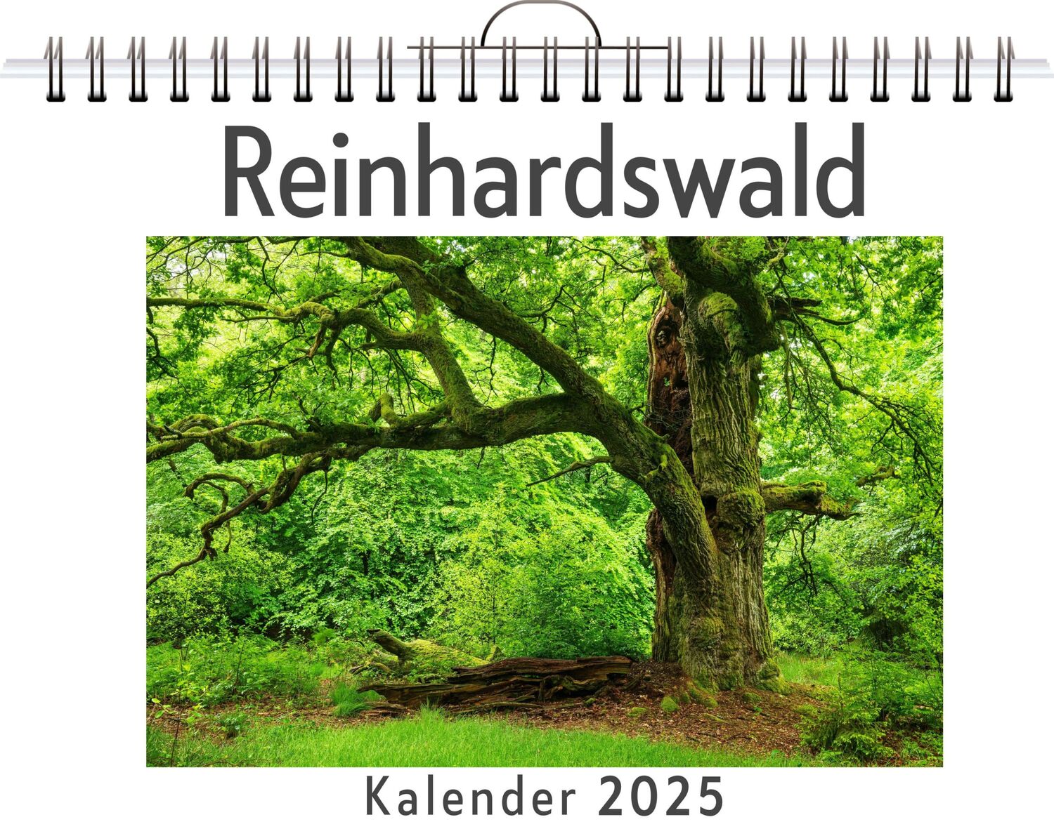 Cover: 9783759126160 | Reinhardswald | Mia Fischer | Kalender | Kalender | 14 S. | Deutsch