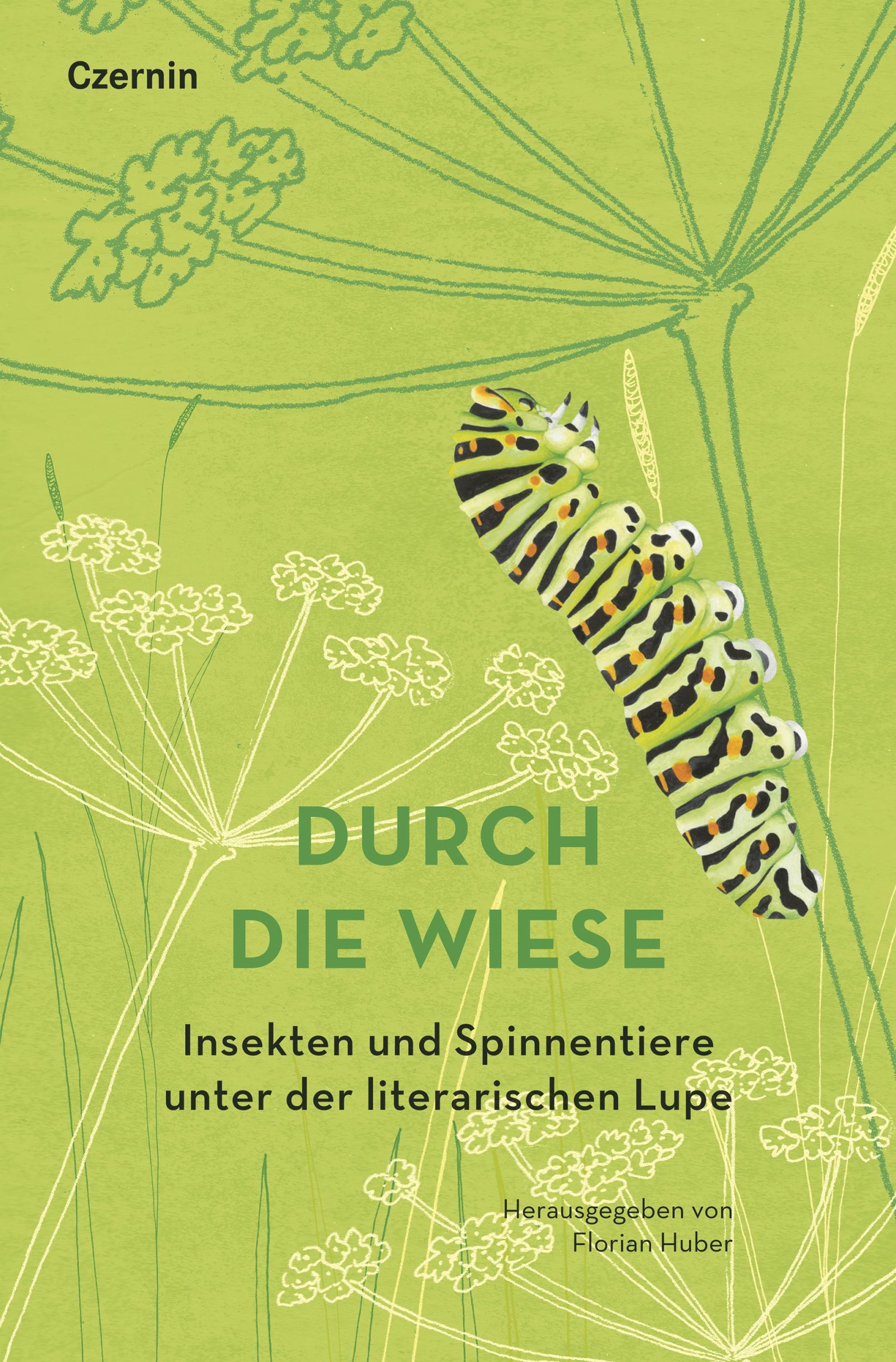 Cover: 9783707608434 | Durch die Wiese | Florian Huber | Buch | 200 S. | Deutsch | 2025