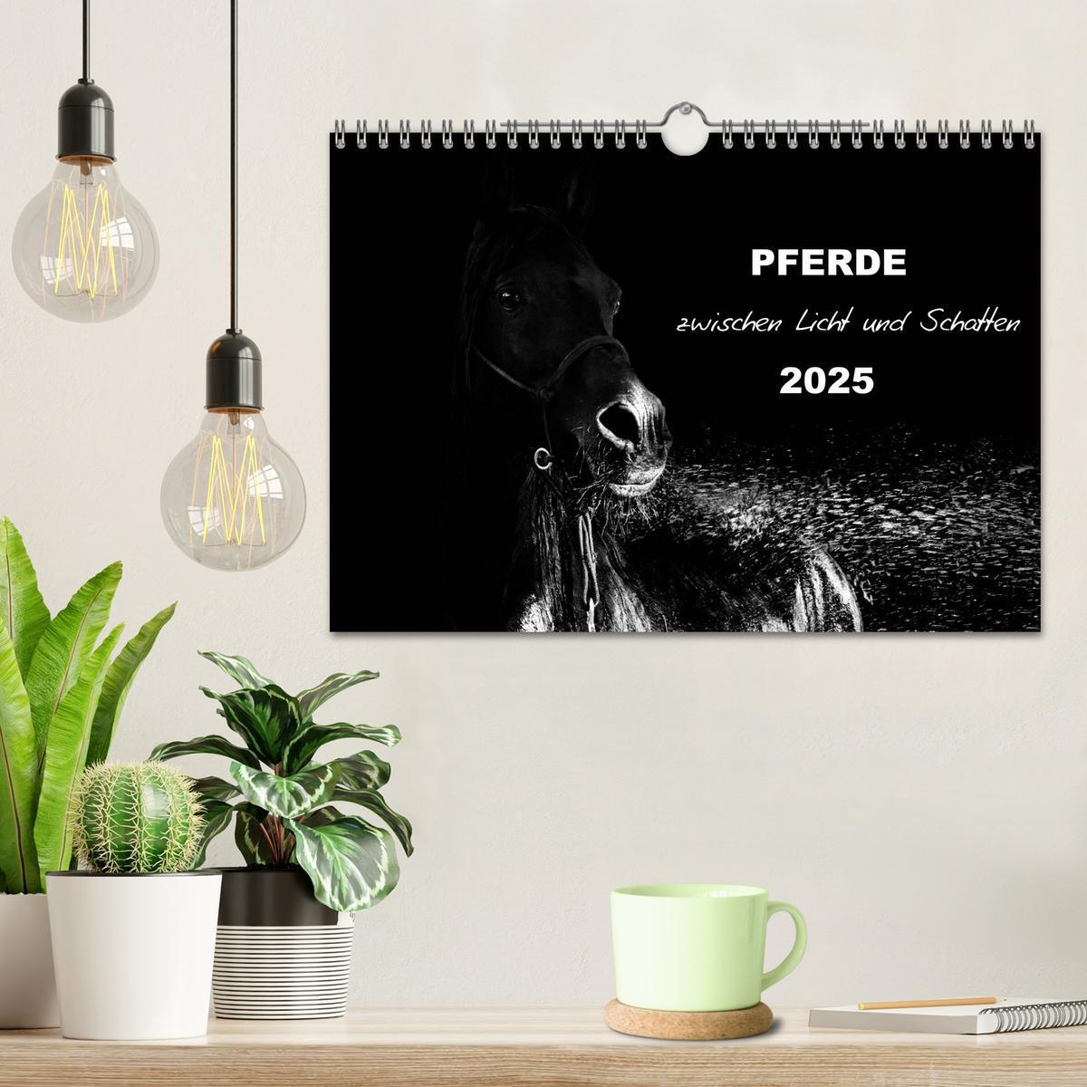 Bild: 9783435630905 | Pferde zwischen Licht und Schatten (Wandkalender 2025 DIN A4 quer),...