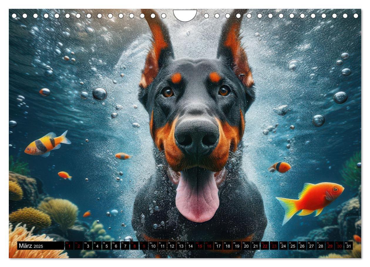 Bild: 9783457150429 | Badespaß - Hunde unter Wasser (Wandkalender 2025 DIN A4 quer),...