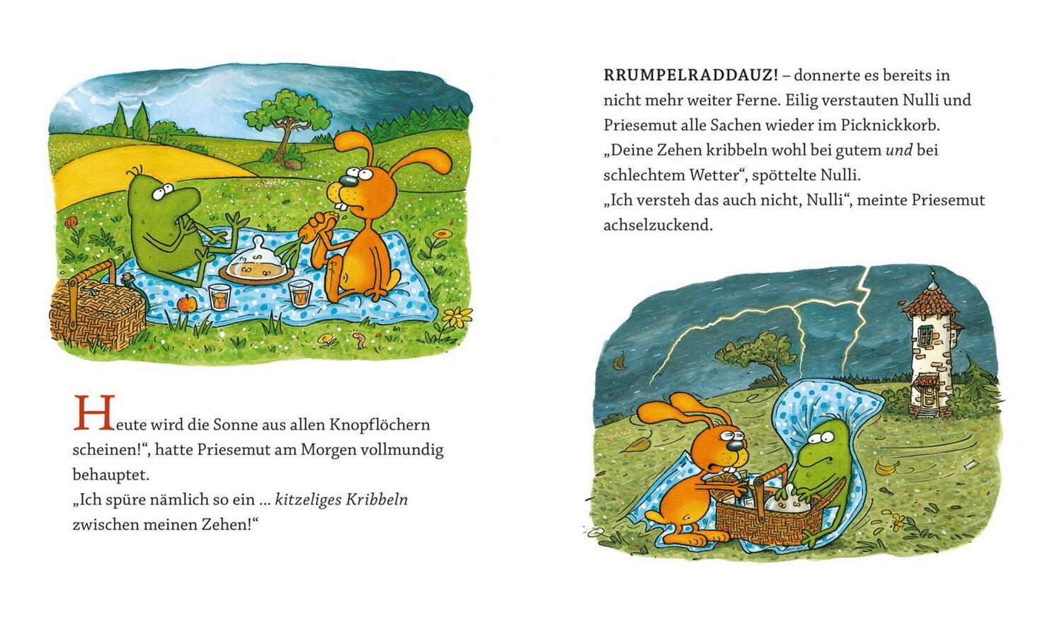 Bild: 9783830312659 | Wirbel um den Wetterfrosch | Matthias Sodtke | Buch | 32 S. | Deutsch