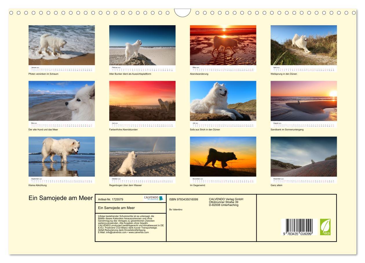 Bild: 9783435016099 | Ein Samojede am Meer (Wandkalender 2025 DIN A3 quer), CALVENDO...