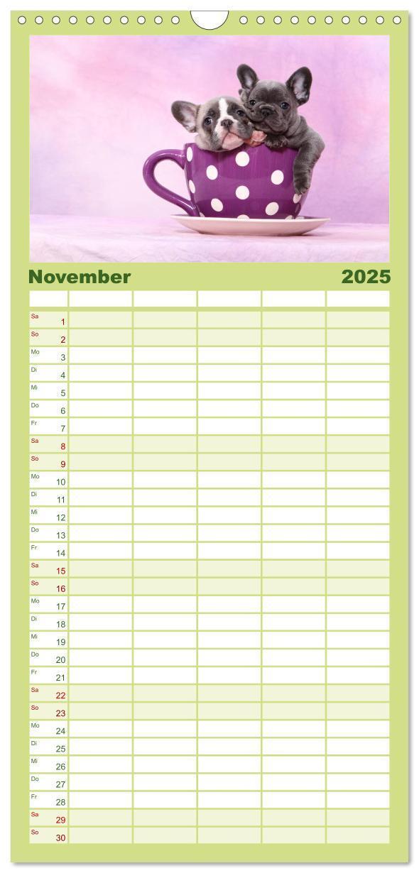 Bild: 9783457111284 | Familienplaner 2025 - Der Bully - Kalender Familienplaner hoch mit...