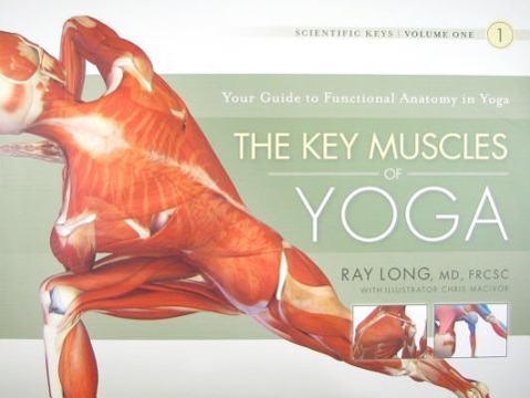 Cover: 9781607432388 | The Key Muscles of Yoga | Ray Long | Taschenbuch | Scientific Keys