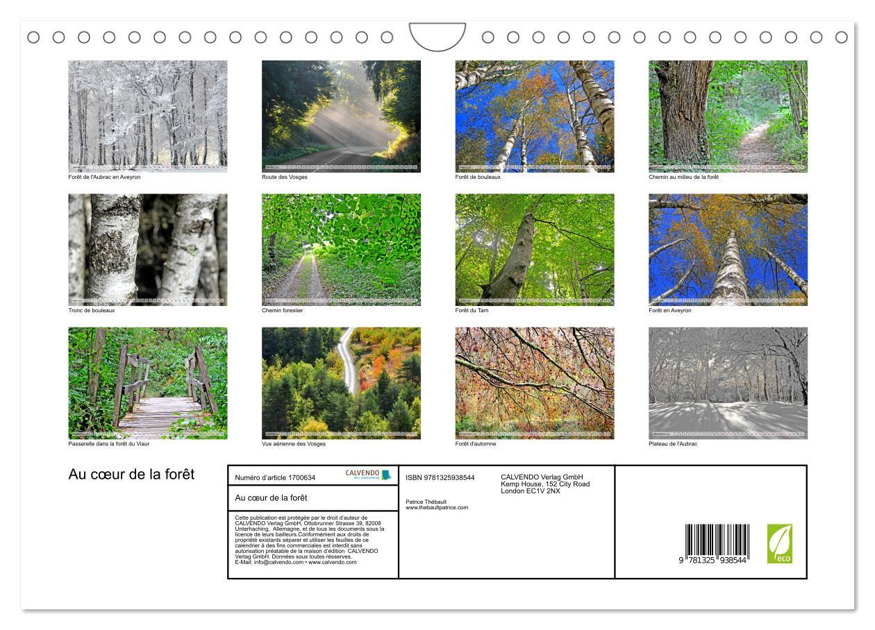 Bild: 9781325938544 | Au c¿ur de la forêt (Calendrier mural 2025 DIN A4 vertical),...