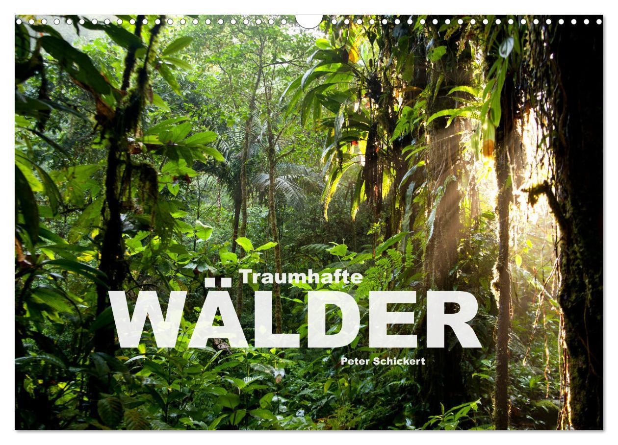 Cover: 9783383915314 | Traumhafte Wälder (Wandkalender 2025 DIN A3 quer), CALVENDO...