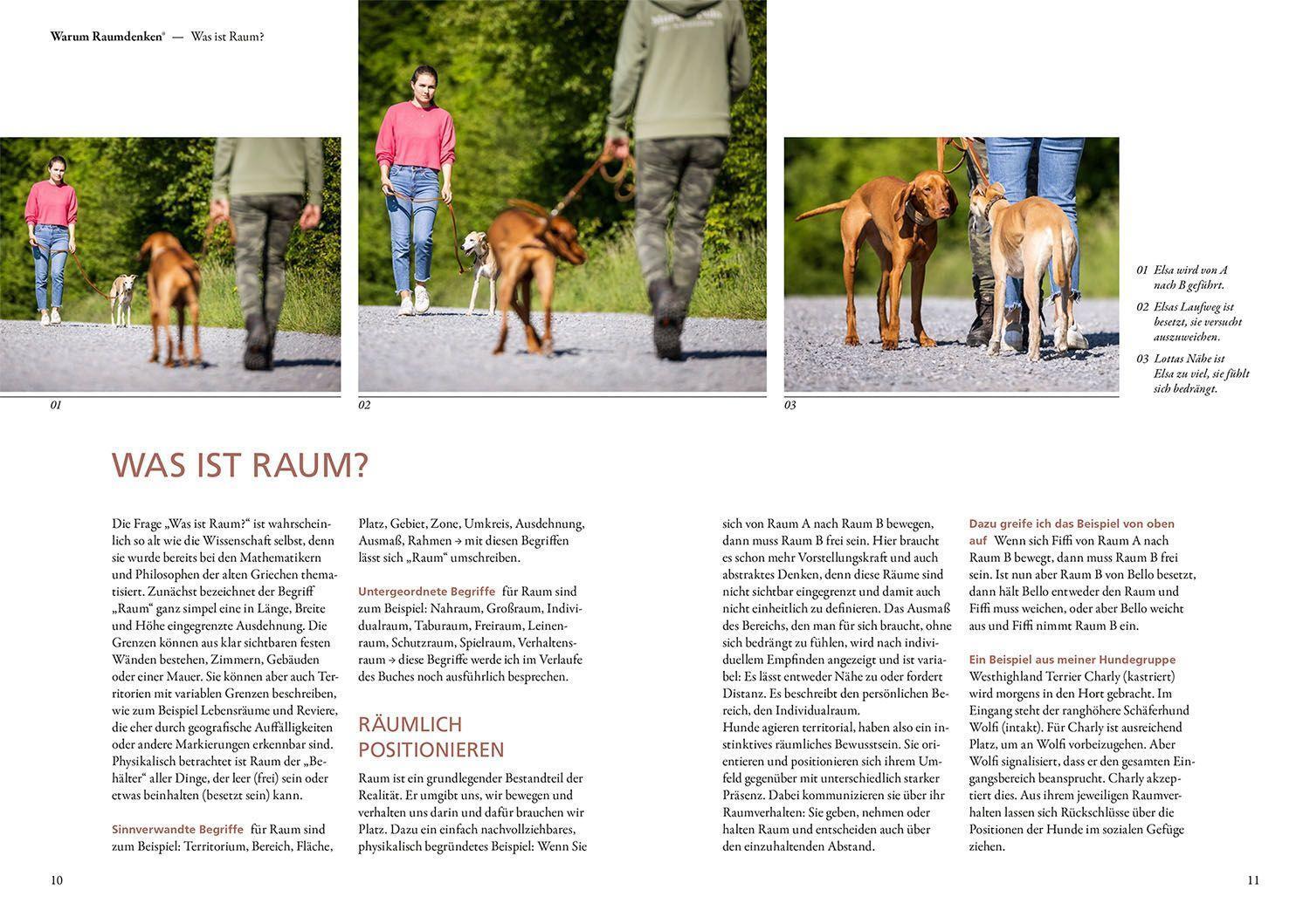 Bild: 9783440174616 | Raumdenken® in der Hundeerziehung | Ursula Löckenhoff | Buch | Deutsch