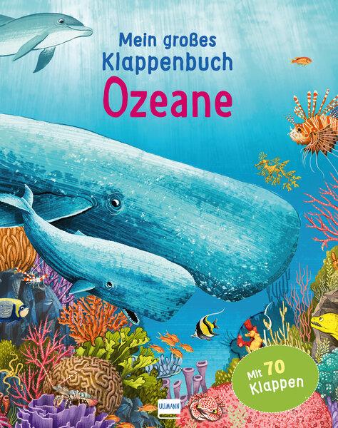 Cover: 9783741525384 | Mein großes Klappenbuch - Ozeane | Anita Ganeri | Buch | 16 S. | 2021