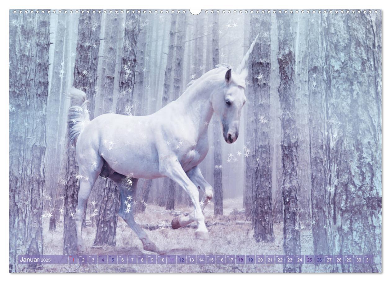 Bild: 9783435303755 | Einhorn Love - Fantasiewelt (hochwertiger Premium Wandkalender 2025...