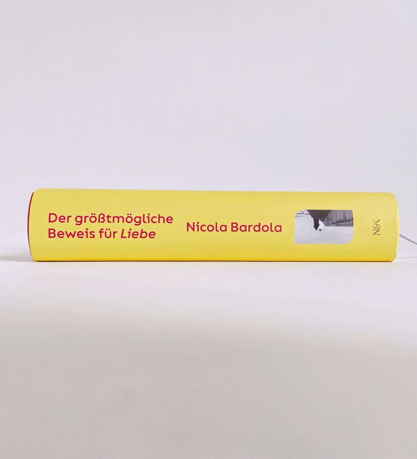 Bild: 9783312013357 | Der größtmögliche Beweis für Liebe | Nicola Bardola | Buch | 448 S.