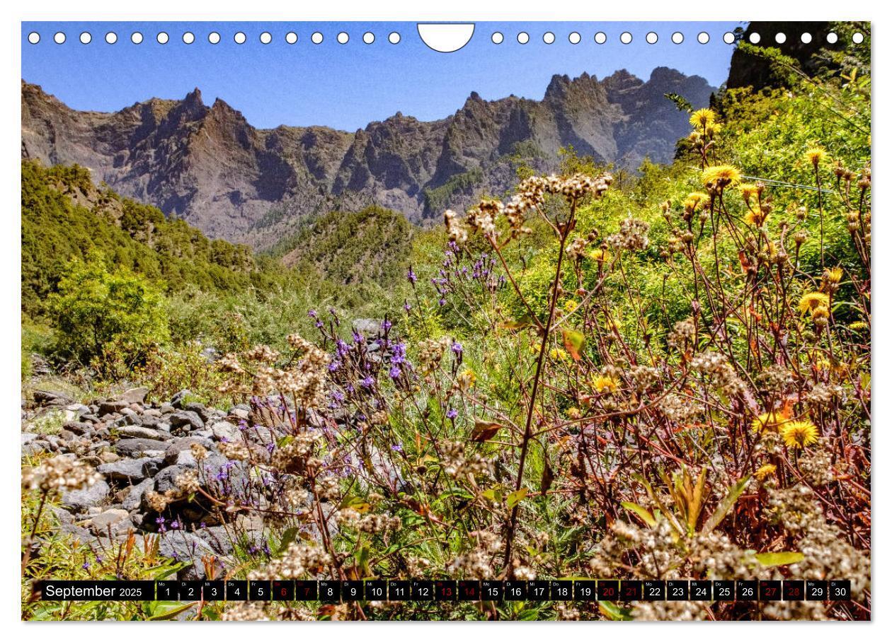 Bild: 9783435328413 | Natur pur erleben auf La Palma (Wandkalender 2025 DIN A4 quer),...