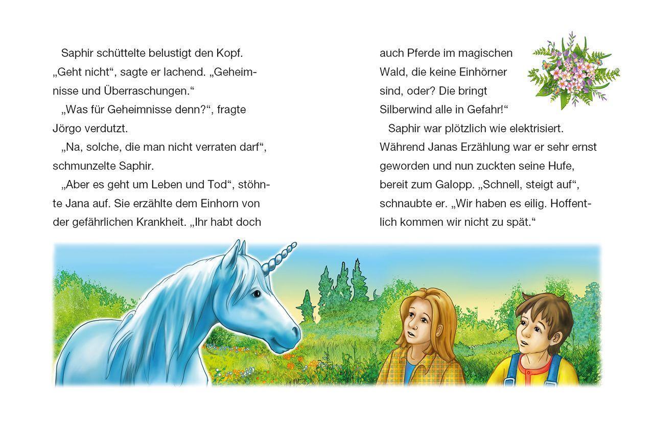 Bild: 9783743200234 | Silberwind, das weiße Einhorn - Das Einhornfohlen | Sandra Grimm