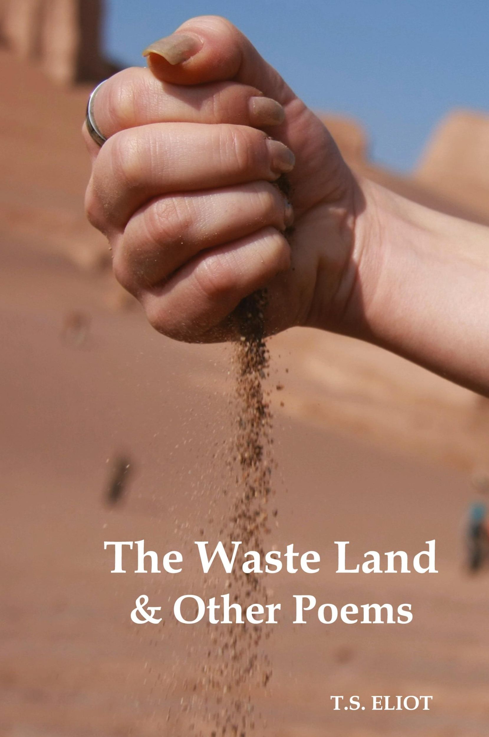 Cover: 9781849023306 | The Waste Land and Other Poems | T. S. Eliot | Buch | Englisch | 2011