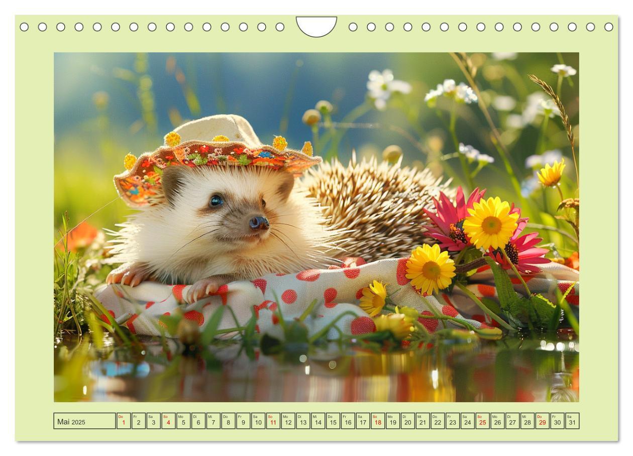 Bild: 9783435639939 | Zauberhafte Igel-Models. Blumiger Stil in der Natur (Wandkalender...